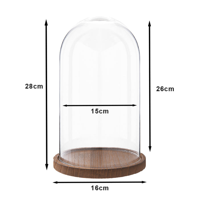 57decded-b811-4416-acc0-7f6823aba24e-afbeelding3.jpg (10441758)