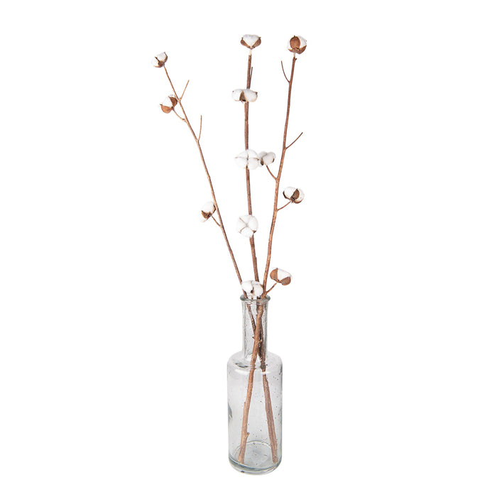 Clayre & Eef Droogbloemen 80 cm Wit Bruin Droogbloemen Droogboeket