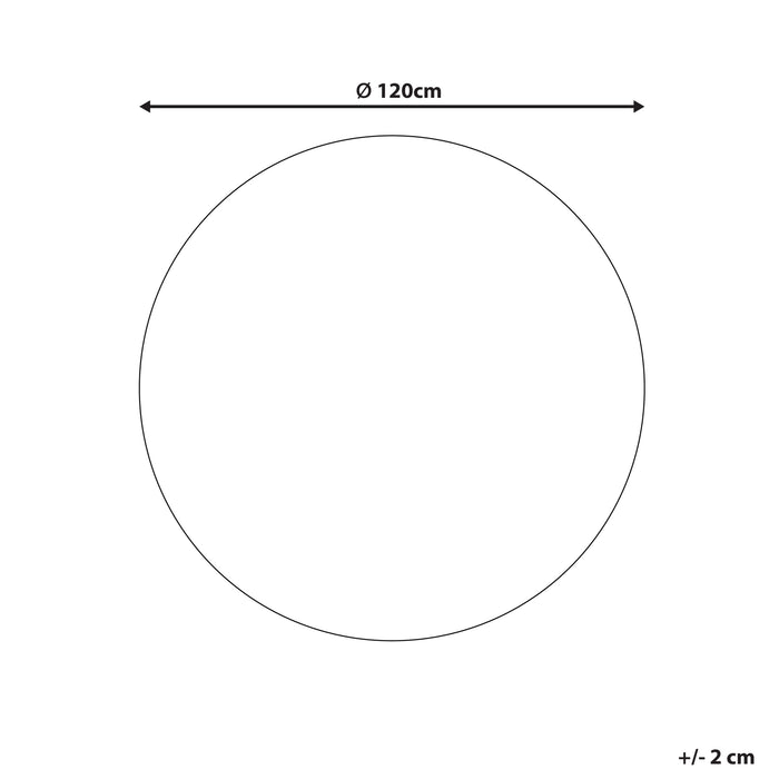 2c9e63e4-8fc8-4780-bd96-7d56a629085d-afbeelding11.jpg (10450157)