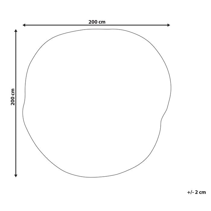 efc6bf98-d90b-41ef-a113-77b6558d863a-afbeelding11.jpg (10450770)