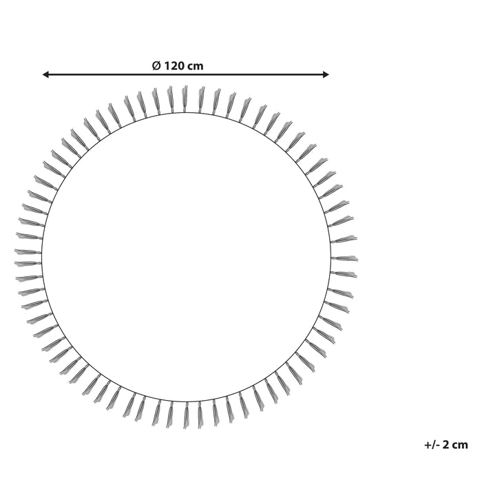 7ab98c97-c36d-422b-a1c7-8d8293eb6d5f-afbeelding11.jpg (10451149)