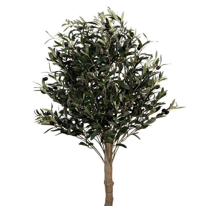 Clayre & Eef Kunst Olijfboom 165 cm Groen Kunststof