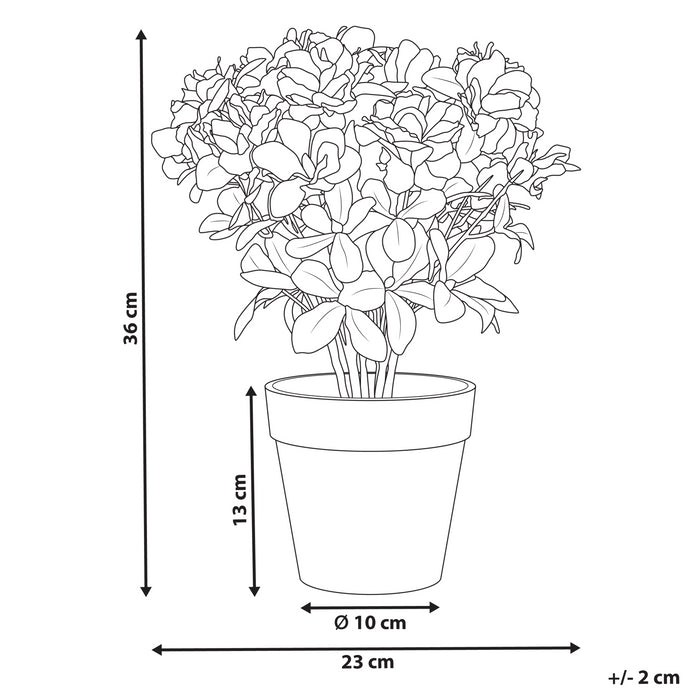 5369ccde-bcbd-441e-9816-ce66dbeabd48-afbeelding11.jpg (10456497)