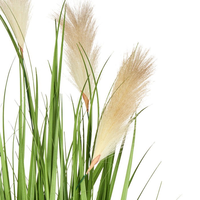 b04368bf-4a06-4f7b-bbc7-9bdb1ebcbcf6-afbeelding3.jpg (10456670)