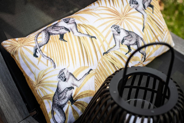 8e5235d7-29c0-4048-b250-9a14eef44441-afbeelding3.jpg (10645643)