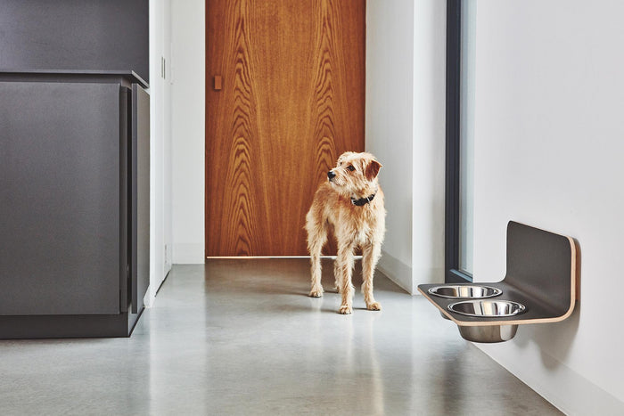 MiaCara Arco hondenvoerbak wand small|medium grijs