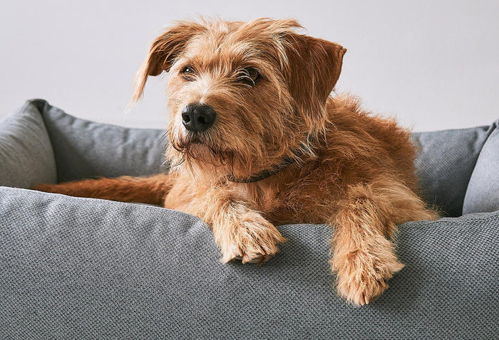 691aaa10-4e62-4685-9c5c-5a43bddd9cbb-afbeelding5.jpg (10649249)