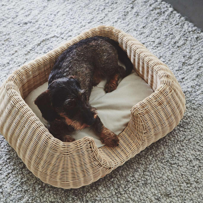 962f9240-60d6-49a3-bf19-d0ecbdfef7de-afbeelding7.jpg (10649602)