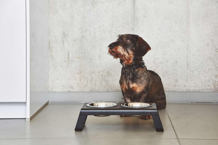 Desco hondenvoerbak small aluminium grijs