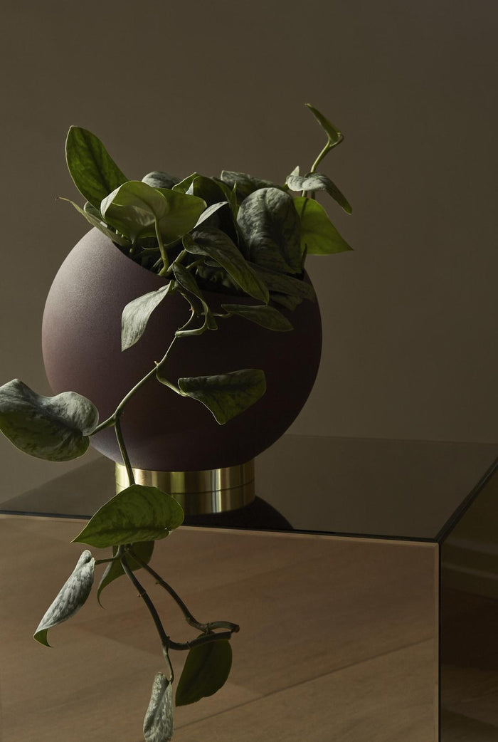 3e8e09d7-199c-4985-98cf-d687c2b48995-afbeelding6.jpg (10650447)