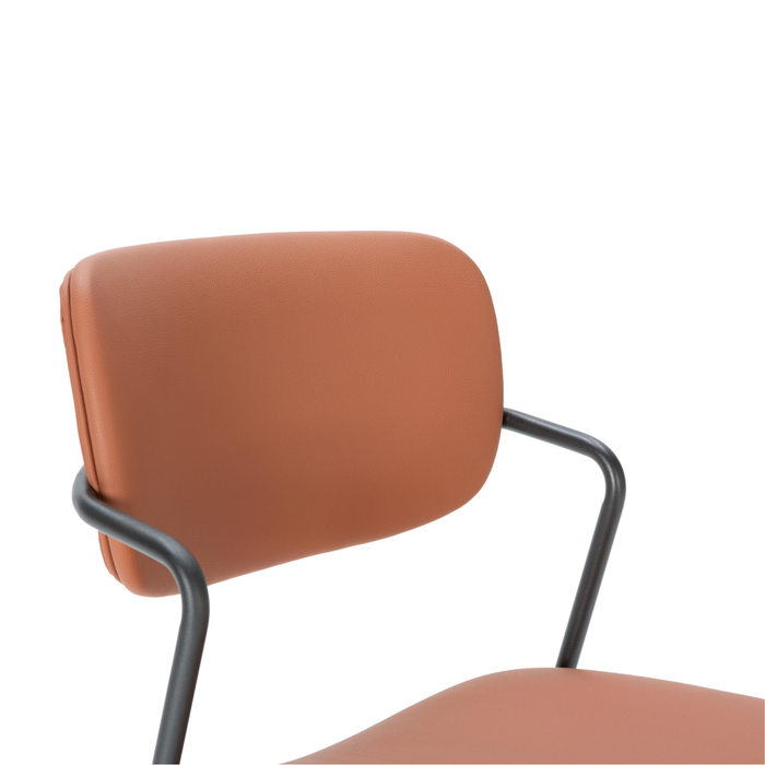 Calicosy - Set 2 stoelen MAIKA - L49 cm - Zwart metaal