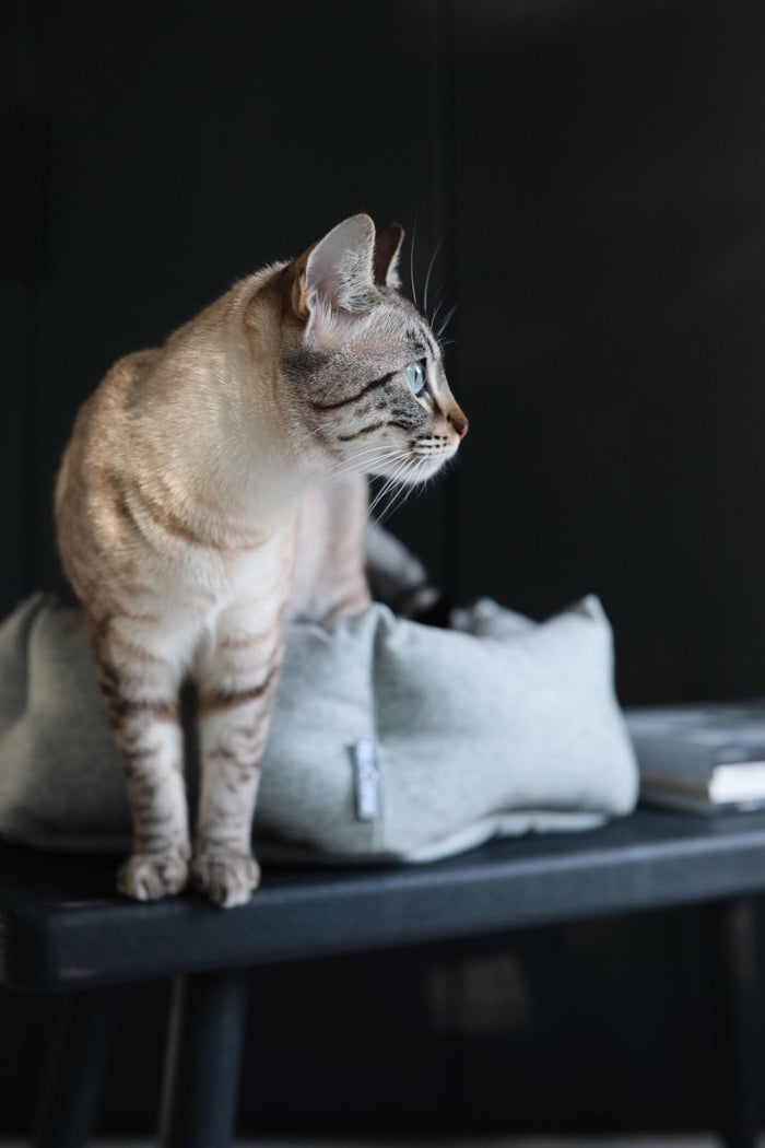 Calma kattenmand Ø45 lichtgrijs