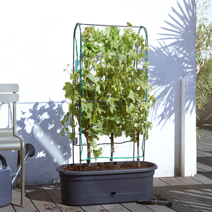 elho Green Basics Veggie Wall 80 cm