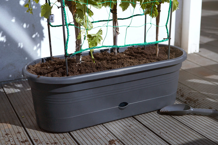 elho Green Basics Veggie Wall 80 cm