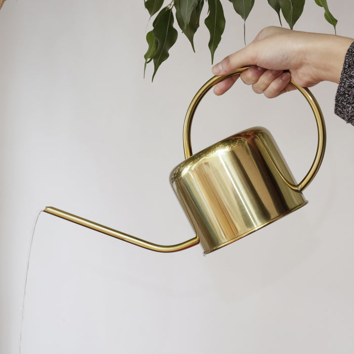 Kikkerland Vintage Gieter