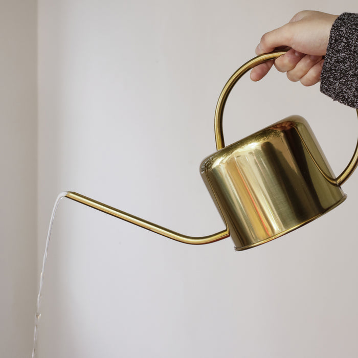 Kikkerland Vintage Gieter