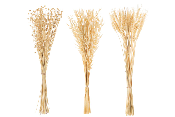 J-Line droogbloemen - Bundel gedroogde bloemen - naturel - 3