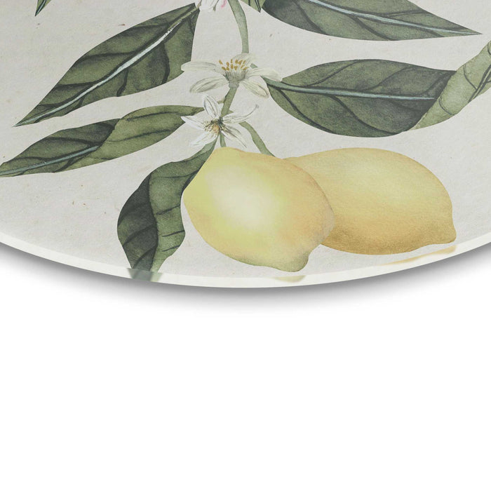 Reinders - Citroentak - Glasschilderij Ø 50 cm - Geel