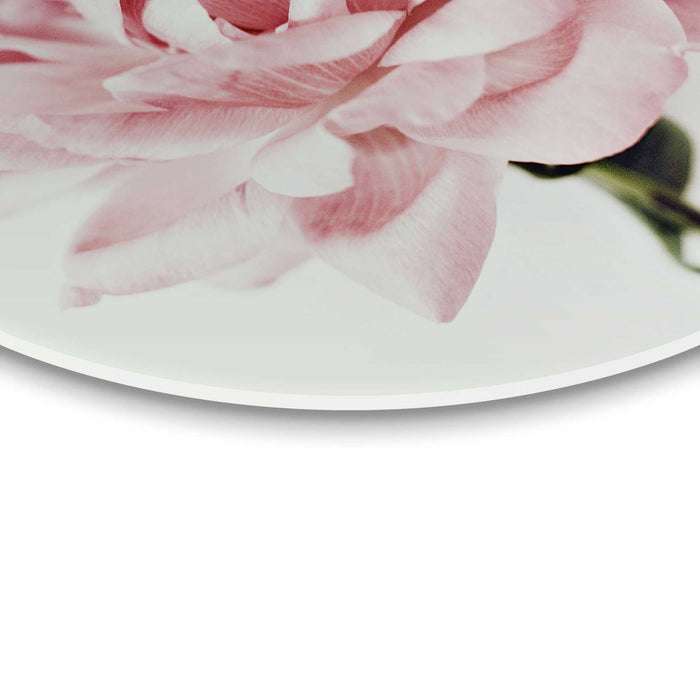 Reinders - Pioenroos - Glasschilderij Ø 50 cm - Roze