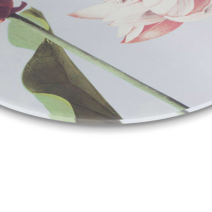 Reinders - Elegante Bloem - Glasschilderij Ø 70 cm - Roze