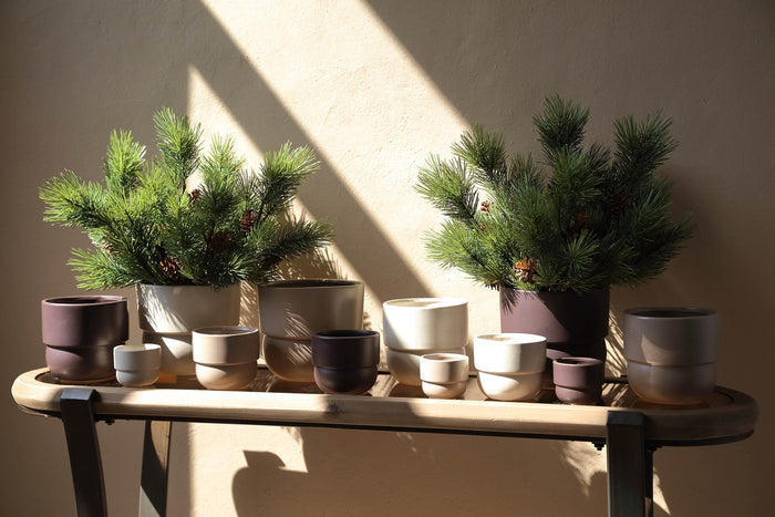 PTMD Bloempot Carolinee - 17x17x15 cm - Keramiek - Paars