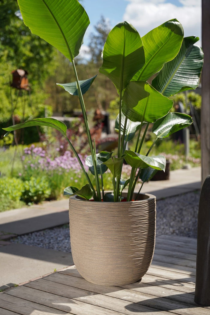 Capi Europe - Pot bol Rib NL - 35x34 - Goud