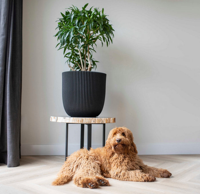 Capi Europe - Pot bol Groove NL - 54x52 - Ivoor