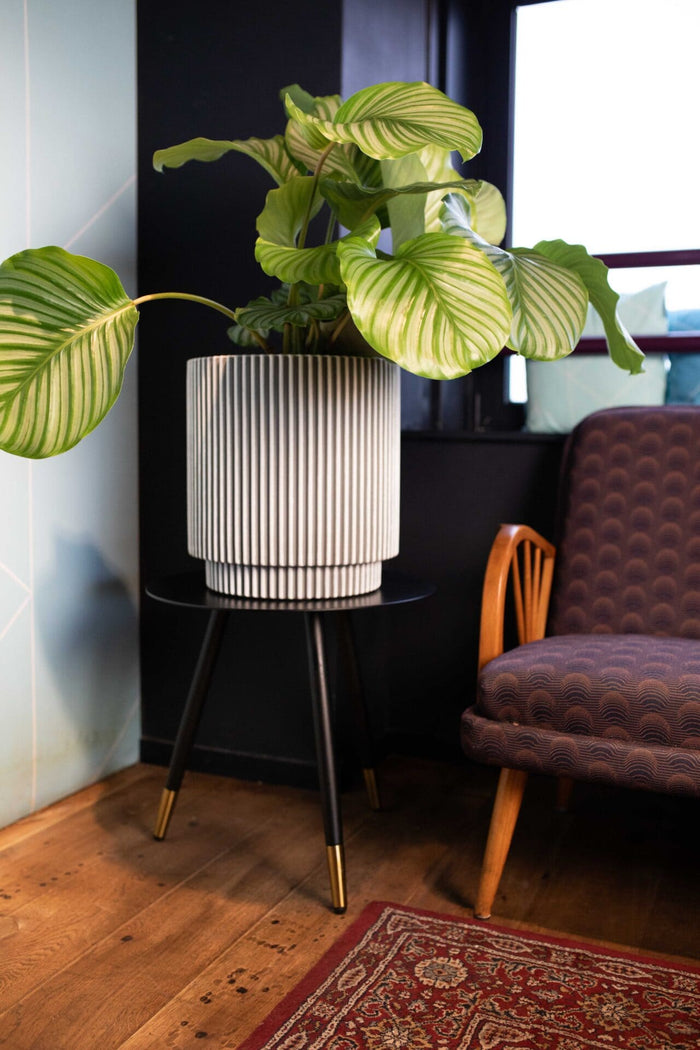 Capi Europe - Vaas cilinder Groove NL - 35x38 - Goud