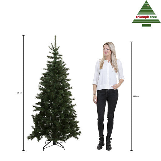 Triumph Tree Forrester Kunstkerstboom - H185 x Ø109 cm - Groen