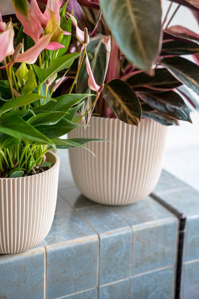 Capi Europe - Pot bol Groove 'made with' - 17x15 - Zaagsel beige