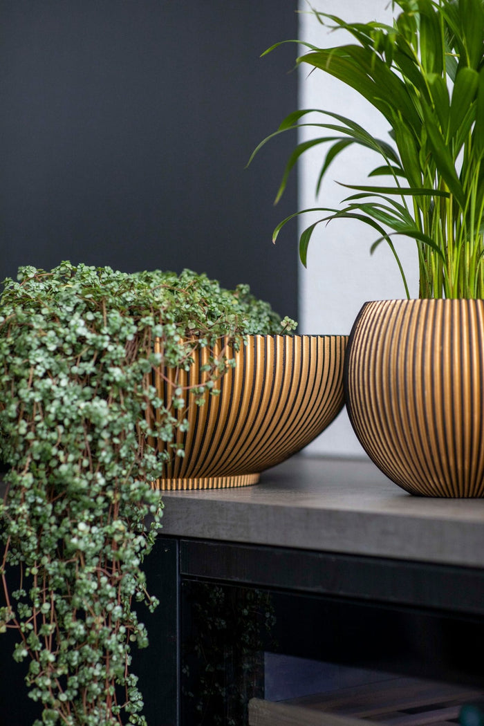 Capi Europe - Schaal Groove - 40x15 - Goud