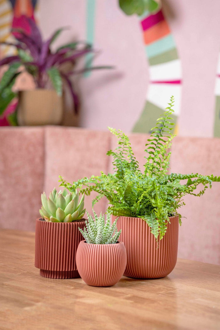 Capi Europe - Vaas bol Groove - 30x25 - Groen