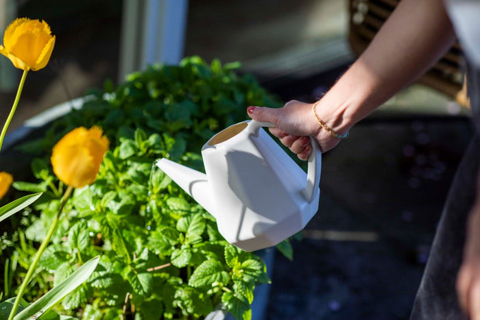 Xala - Gieter Doppio Smooth 2L - Lichtgrijs