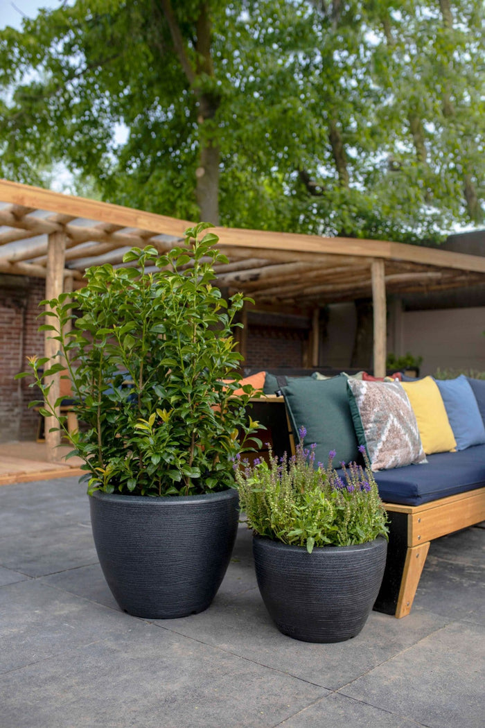 Capi Europe - Pot bol Arc Granite - Warm taupe - 114x90