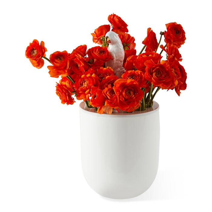 POLSPOTTEN Bird Watching Vaas