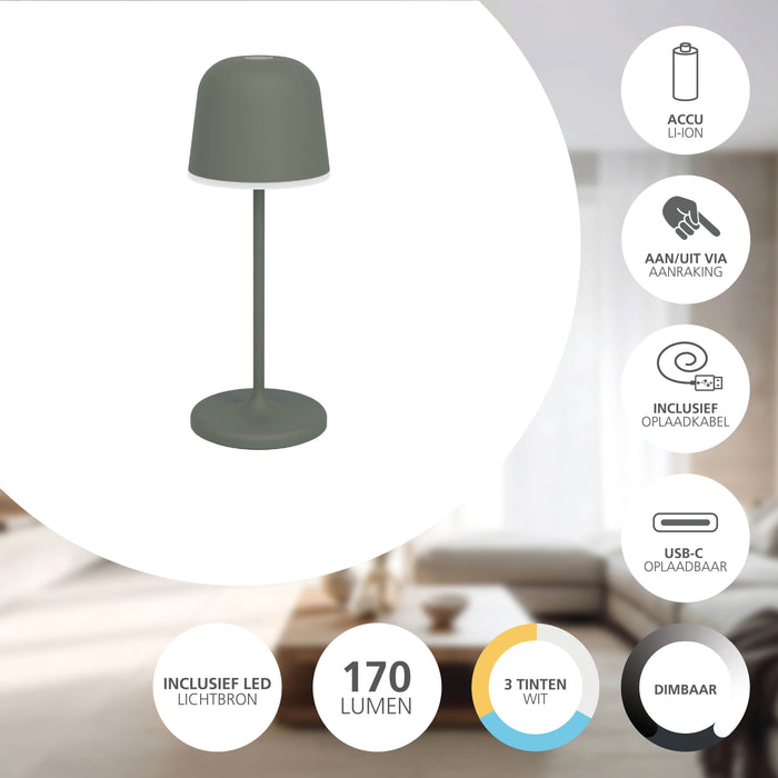 EGLO Mannera-S Tafellamp|Priklamp - USB-C - H 20 cm - Groen