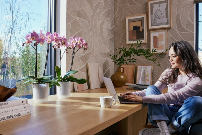 elho Vibes Fold Orchidee Hoog 12,5 - Transparant (Transparant) - Ø 13