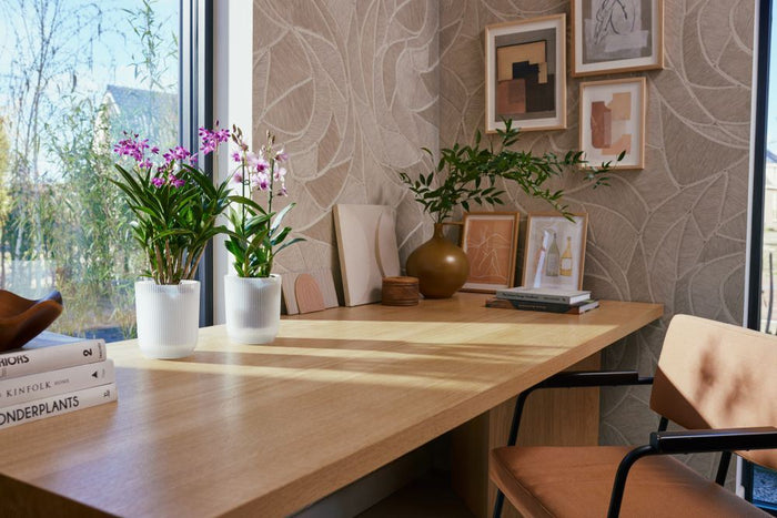 elho Vibes Fold Orchidee Hoog 12,5 - Transparant (Transparant) - Ø 13