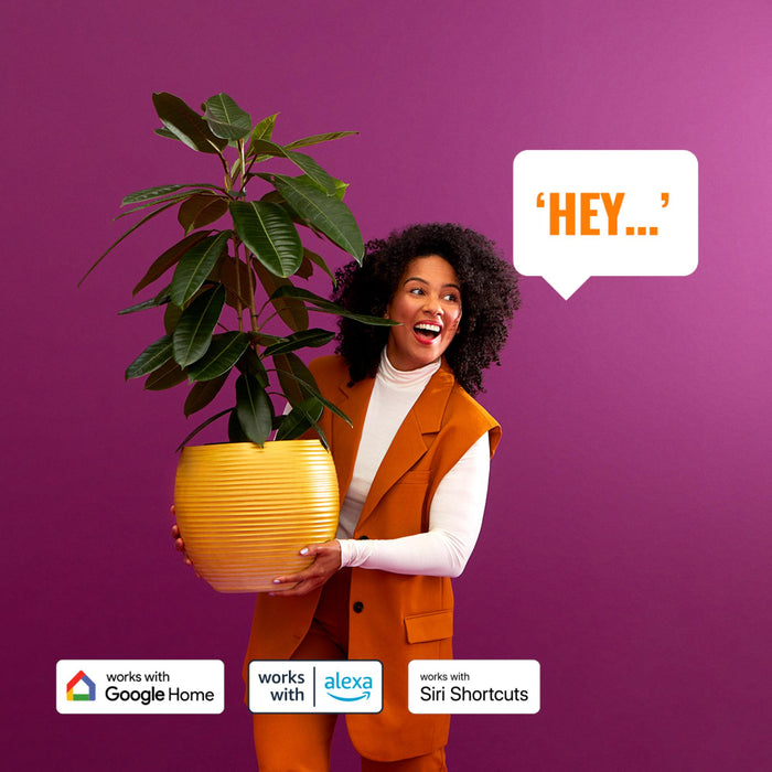 Philips Nightingale wandlamp - zwart - up and downlight