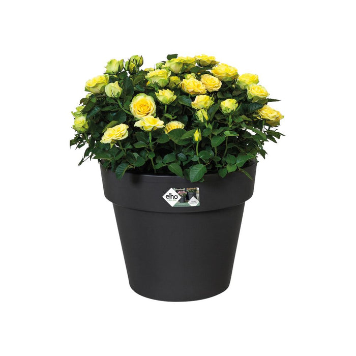 elho Green Basics Top Planter 23 - Living black (Zwart) - Ø 23 x H 20