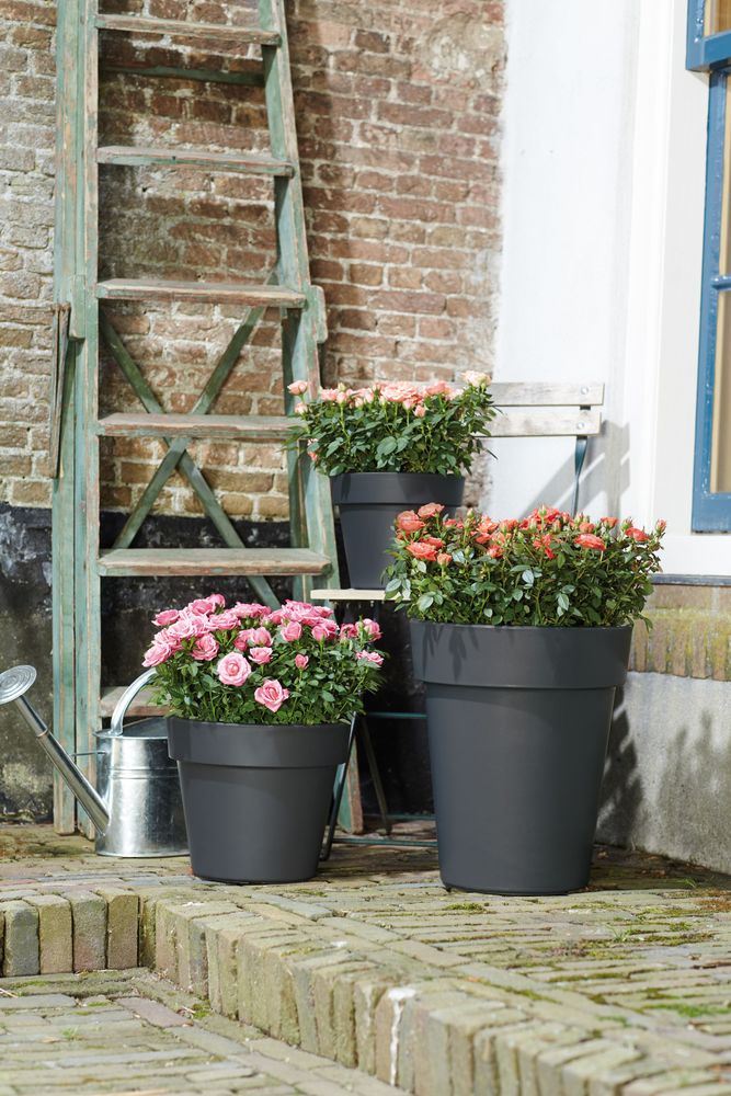 elho Green Basics Top Planter 23 - Living black (Zwart) - Ø 23 x H 20