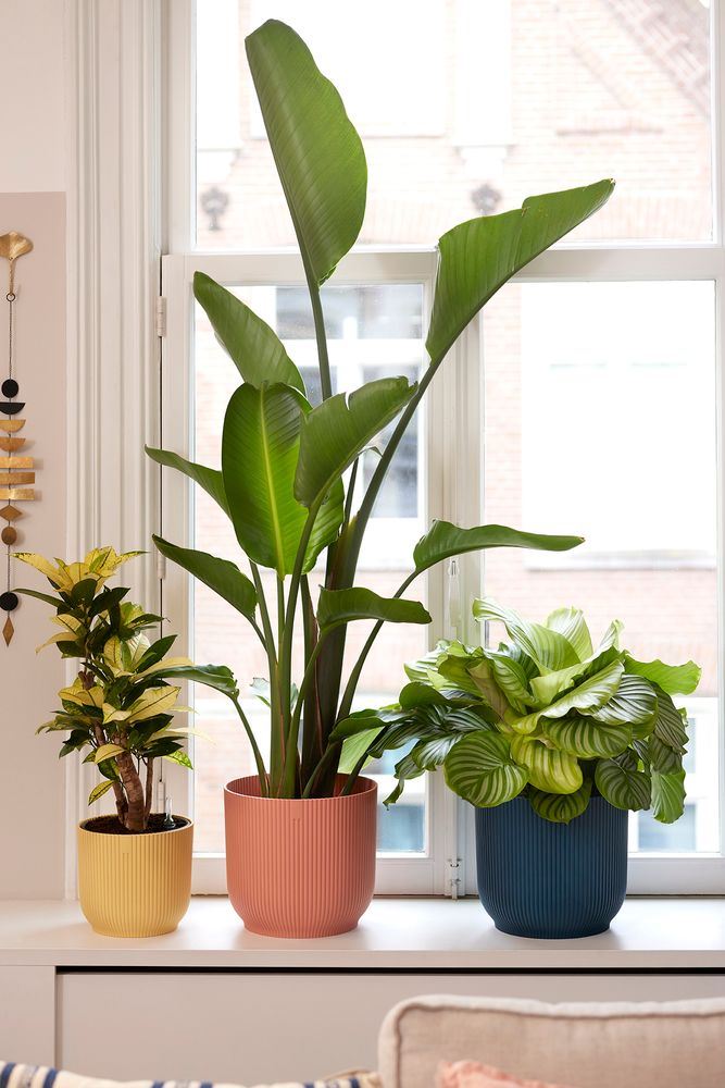 elho Vibes Fold Rond 16 - Diepblauw (Blauw) - Ø 16 x H 15 cm - Ideaal