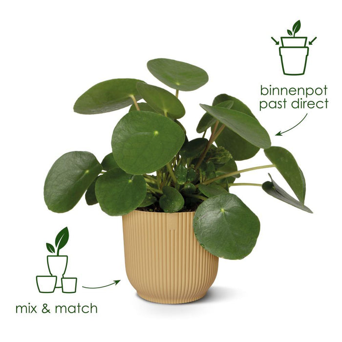 elho Vibes Fold Rond 18 - Zijdewit (Wit) - Ø 18 x H 17 cm - Ideaal