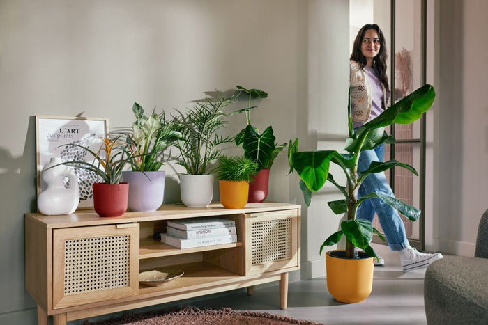 elho Jazz Rond 16 - Toscaans rood (Rood) - Ø 17 x H 15 cm - Ideaal