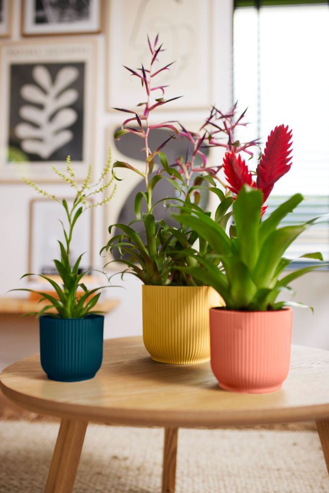 elho Vibes Fold Rond 16 - Delicaat roze (Roze) - Ø 16 x H 15 cm -