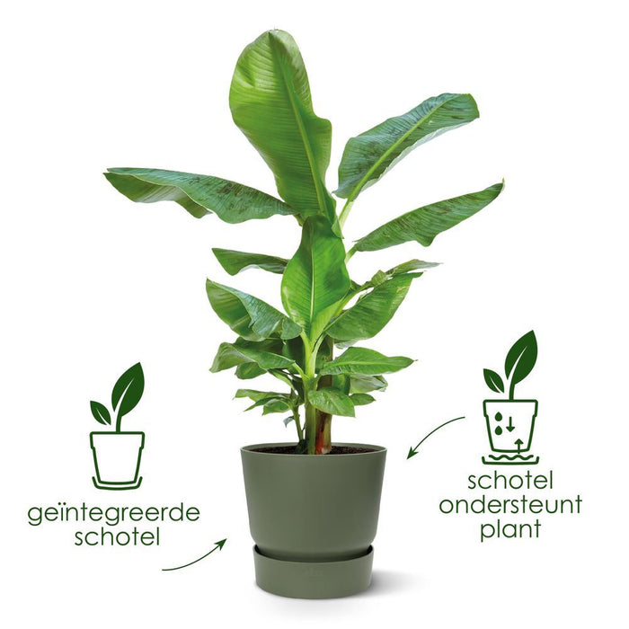 elho Greenville Round 55 - Blad groen (Groen) - Ø 55 x H 50 cm -