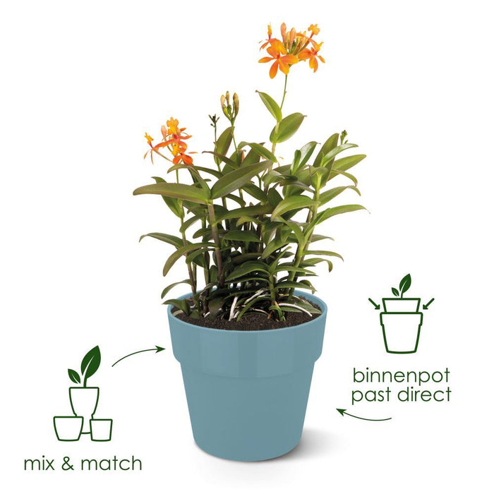 elho B.for Original Rond 22 - Wit (Wit) - Ø 22 x H 20 cm - Ideaal voor