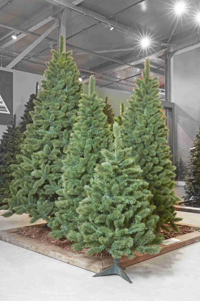 Triumph Tree Kunstkerstboom Camden - 109x109x215 cm - PVC - Groen