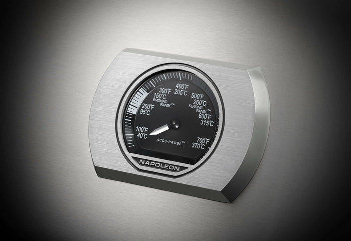 Napoleon - Napoleon Rogue SE 625 RSIB RVS