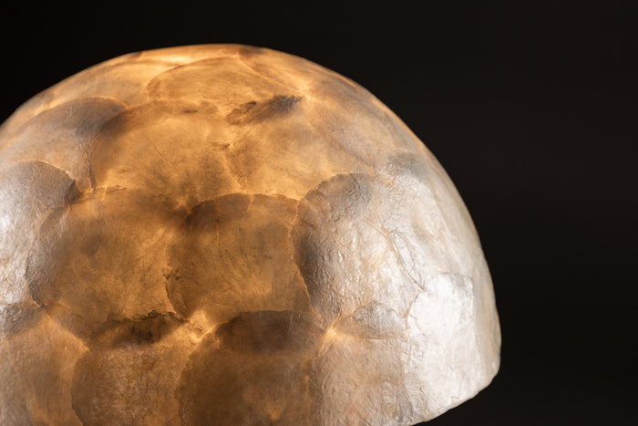 Fjôrd - Tafellamp Lichtgrijs Schelpen - 36x36x48cm - Lindön